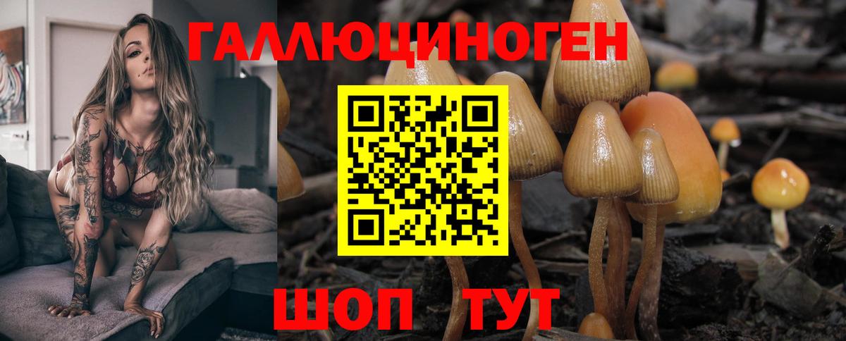 Новый Уренгой  дарнет шоп  Вход с VPN  Псилоцибиновые грибы Cubensis  Галлюциногенные грибы мицелий 