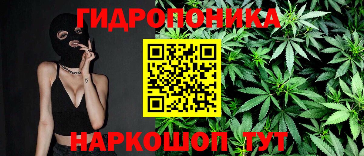 МАРИХУАНА планчик Новый Уренгой